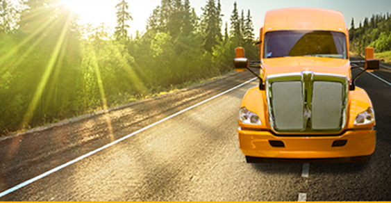 MAS seguro México y GeneXus