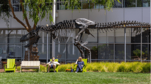 “Stan,” the Tyrannosaurus Rex displayed in the gardens of the Googleplex in California